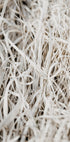 Gras-Poster - Posterbox.dk