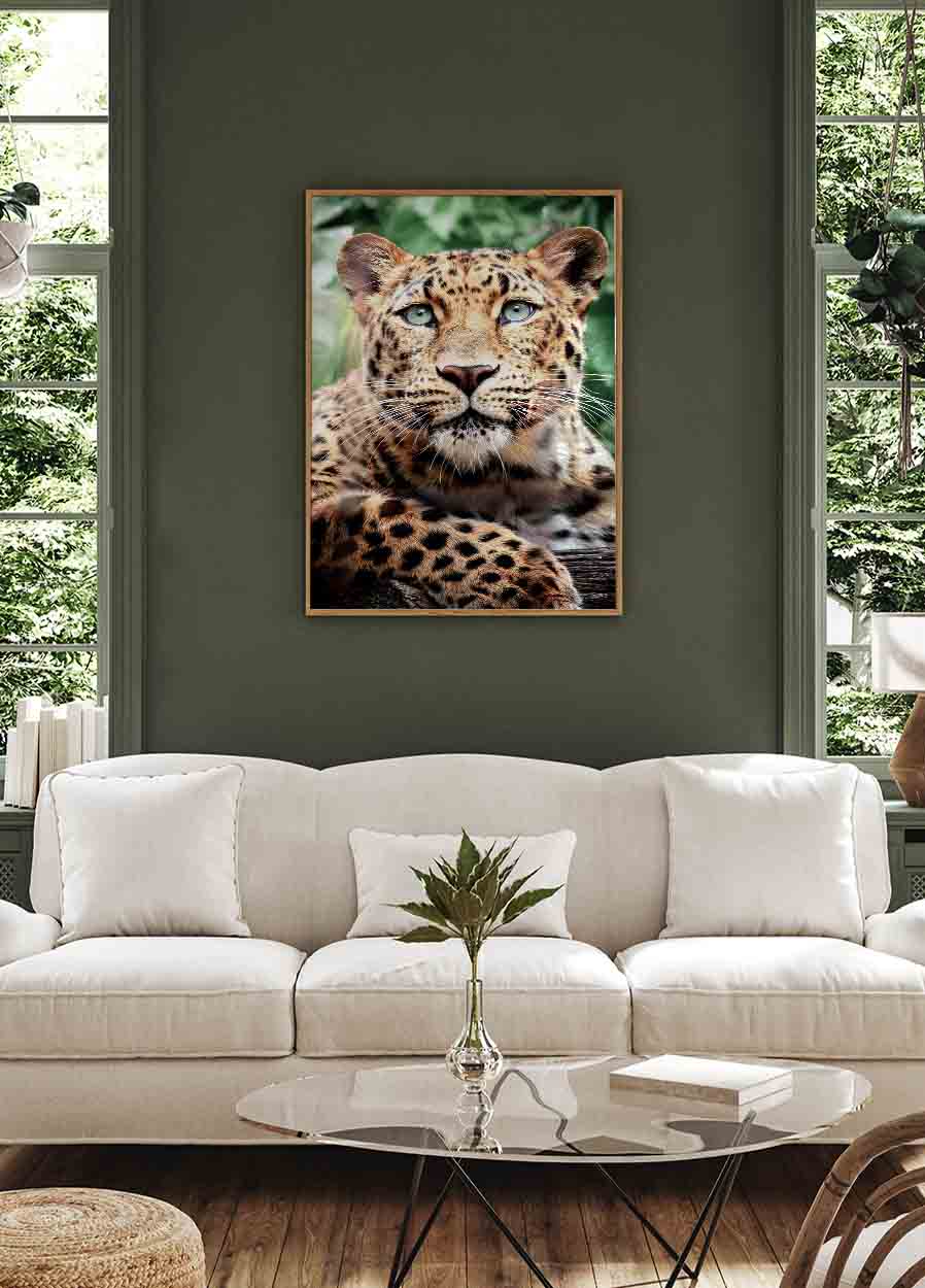 Leopardenporträt-Poster - Posterbox.dk