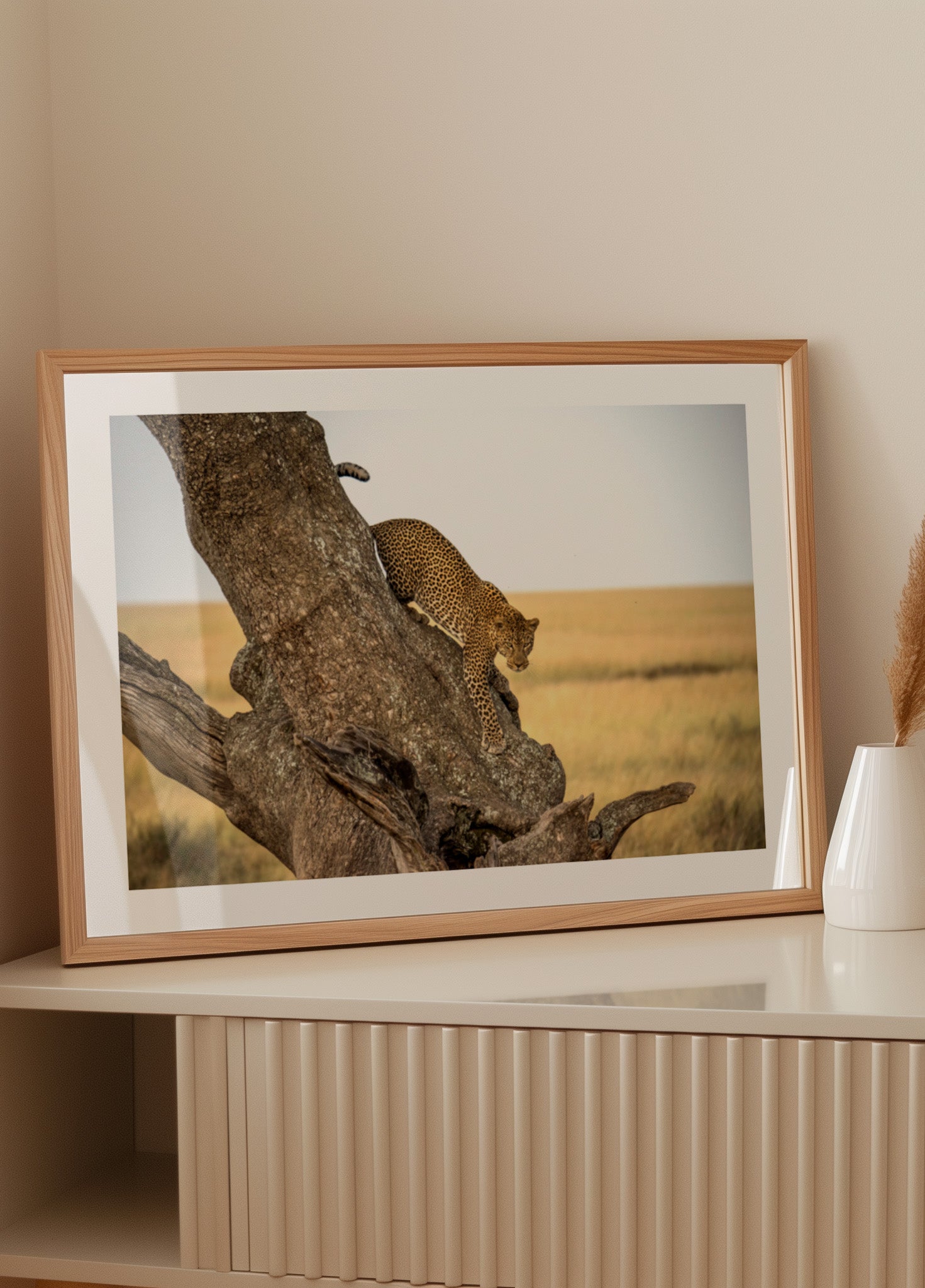 Absteigender Baum des Leoparden
