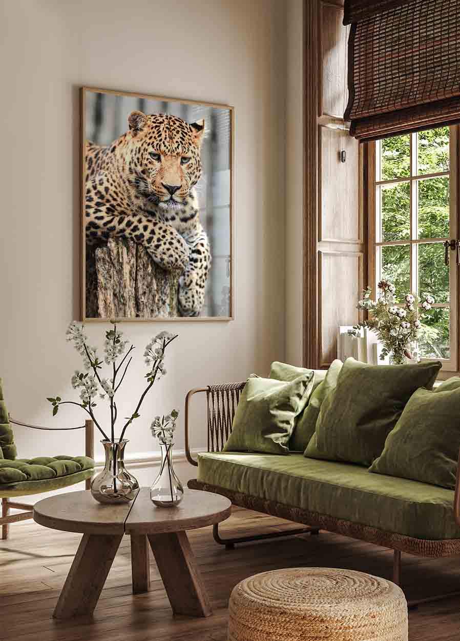 Leopard auf einem Baumstumpf Poster - Posterbox.dk