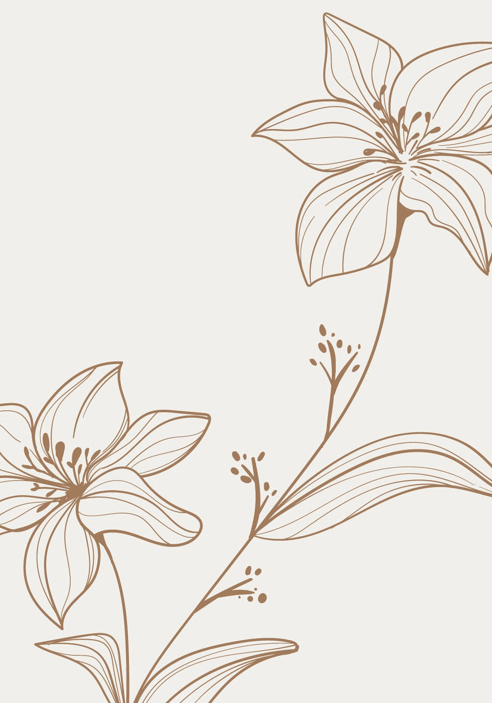 Line Art Flower No.1 Poster - Posterbox.dk