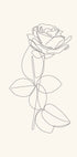 Line Art Rose Poster - Posterbox.dk