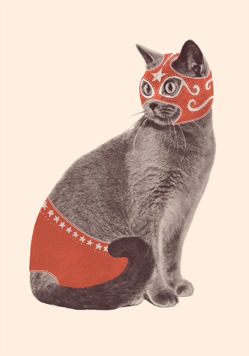 Chat Catcheur Plakat - Posterbox