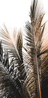 Palmblätter Nr. 1 Poster - Posterbox.dk