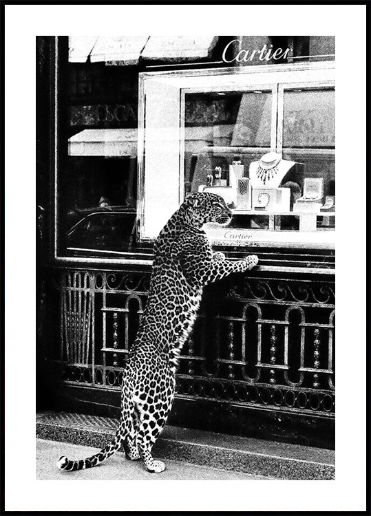 Panther im Juweliergeschäft Poster - Posterbox.dk