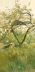 Pfirsichblüten Villiers-le-Bel von Childe Hassam Poster - Posterbox.dk