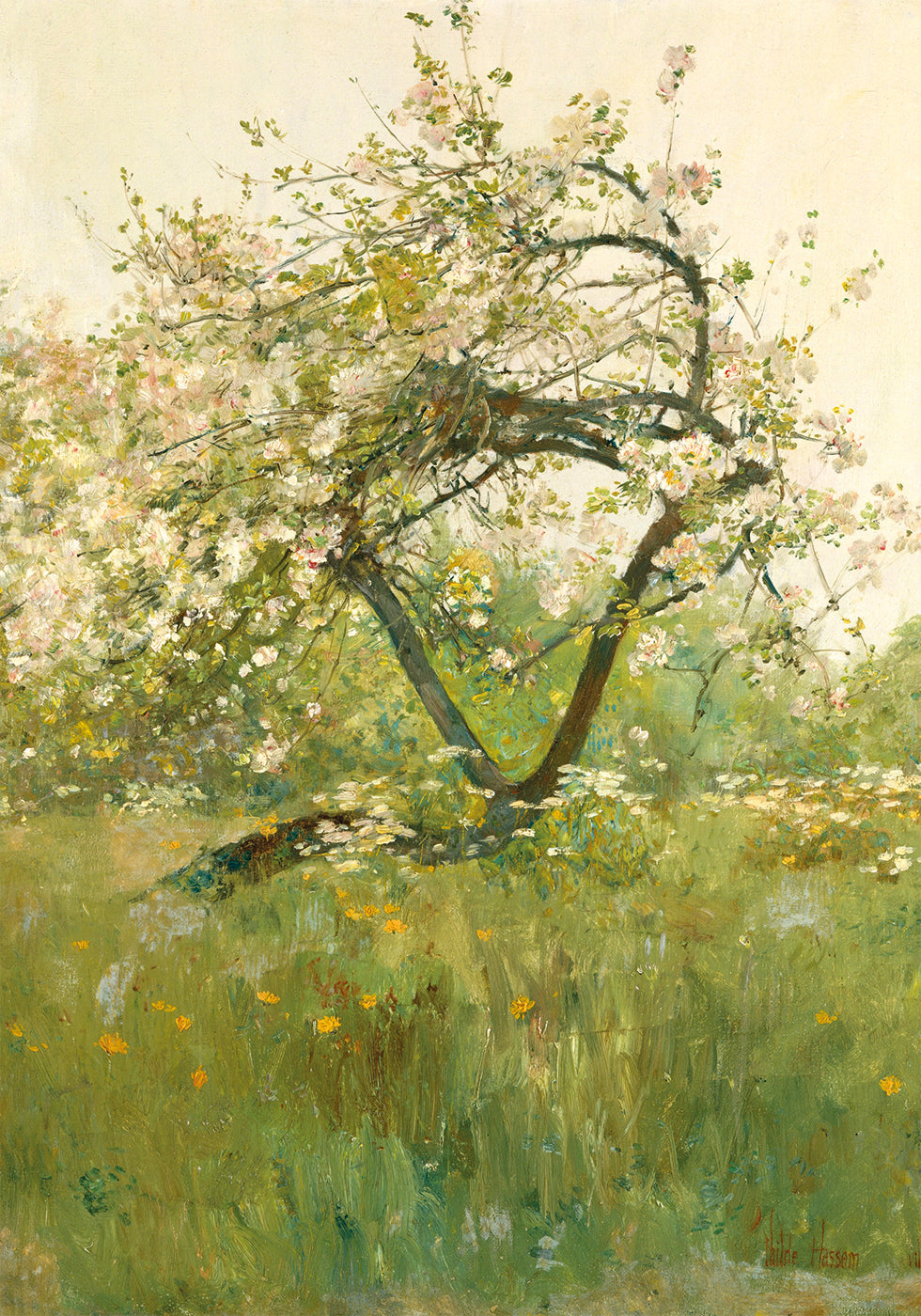 Pfirsichblüten Villiers-le-Bel von Childe Hassam Poster - Posterbox.dk