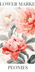 Pfingstrosen-Rosa-Poster - Posterbox.dk