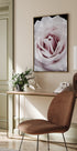 Rosa Rose Poster - Posterbox.dk