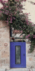 Lebendiger Eingang mit Bougainvillea-Poster - Posterbox.dk