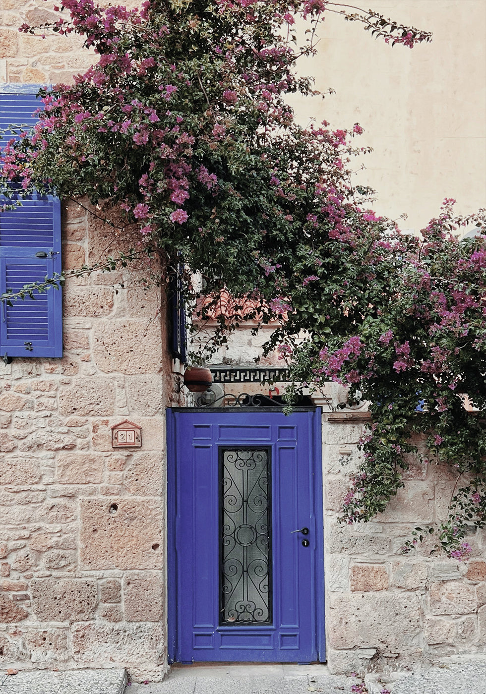 Lebendiger Eingang mit Bougainvillea-Poster - Posterbox.dk