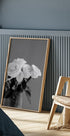 Rosenposter - Posterbox.dk