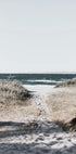 Sandy Path To The Ocean Poster - Posterbox.dk