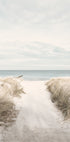 Sandy Path To The Sea Poster - Posterbox.dk