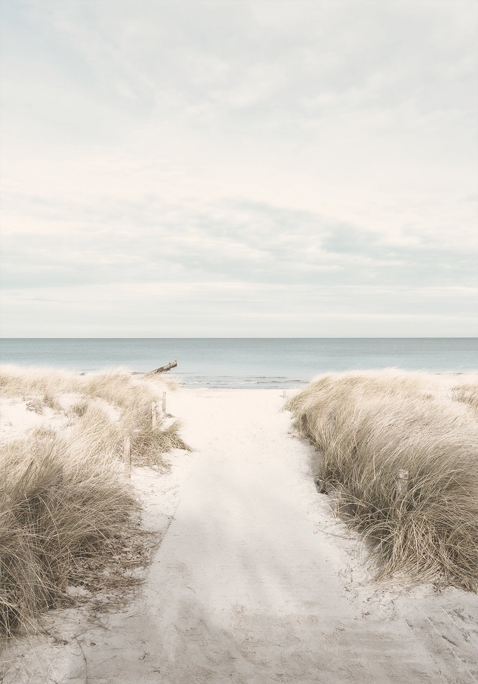 Sandy Path To The Sea Poster - Posterbox.dk
