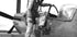 Spitfire Pilot Poster - Posterbox.dk