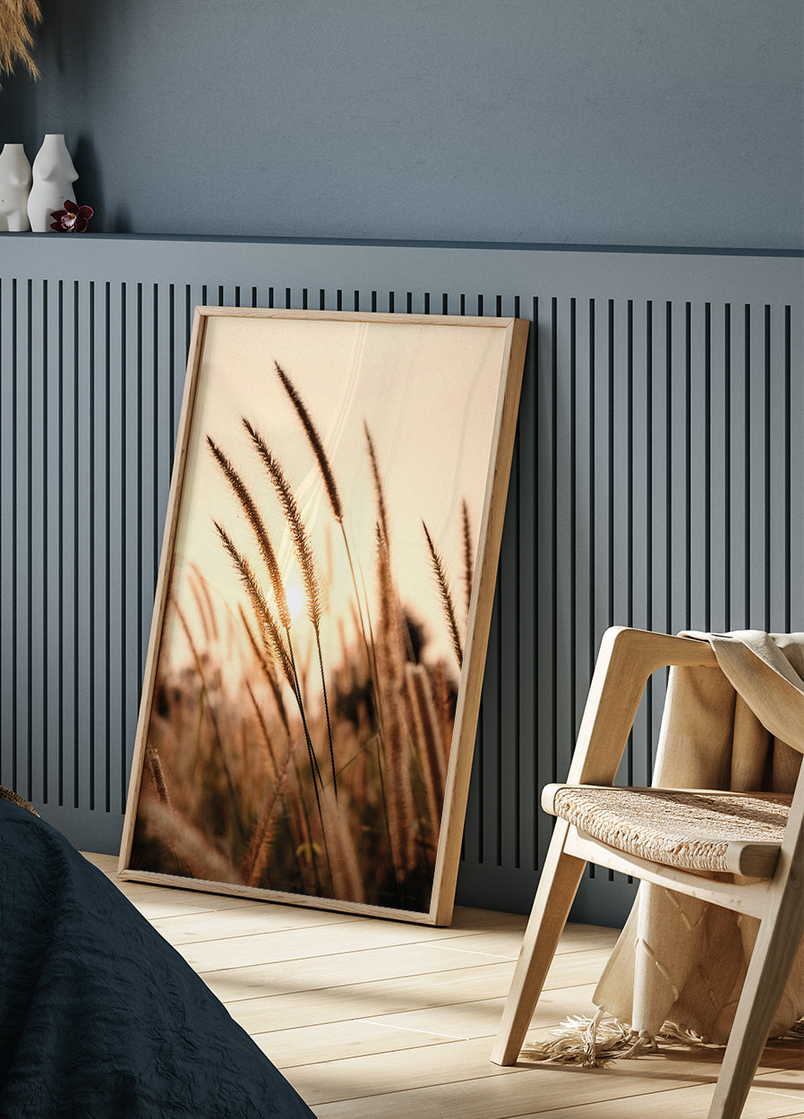 Poster „Sonnenuntergang trockenes Gras“ - Posterbox.dk