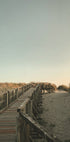 To The Beach Poster - Posterbox.dk