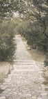 Trail in the Olive Garden Poster - Posterbox.dk