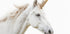 Einhorn-Poster - Posterbox.dk