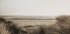 Blick auf den Strand hinter dem Gras Poster - Posterbox.dk