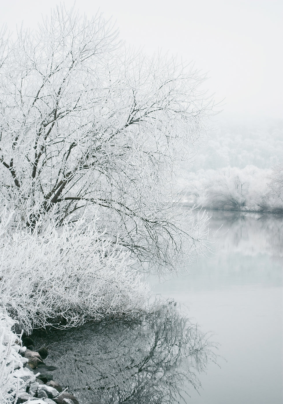 Wintersee-Poster - Posterbox.dk