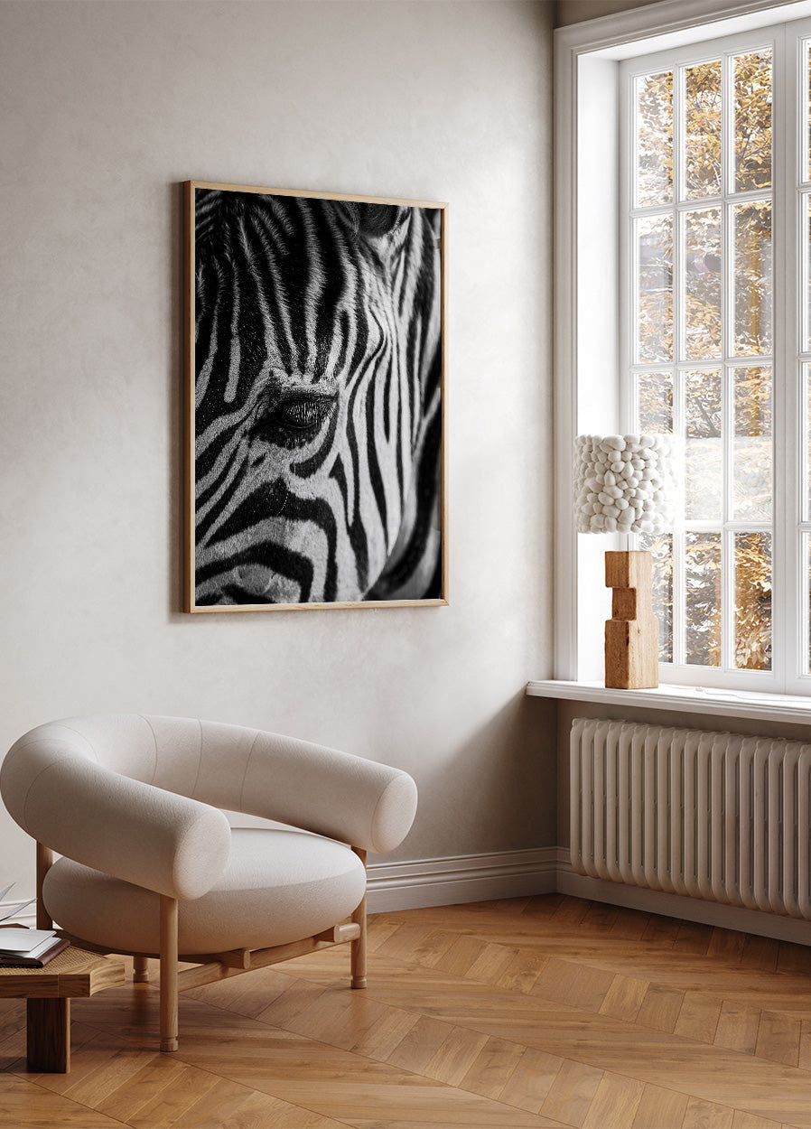 Zebra-Augen-Poster - Posterbox.dk