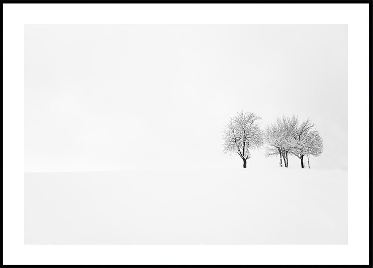 tree and silence Plakat - Posterbox
