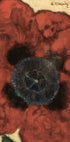 Artur Nikodem Poppy Flower Plakat - Posterbox