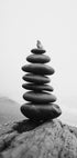 Balance-Poster - Posterbox.dk