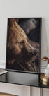 Bär im Profil Poster - Posterbox.dk