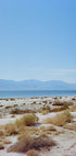 Bombay Beach Spring II (NEW) - Posterbox