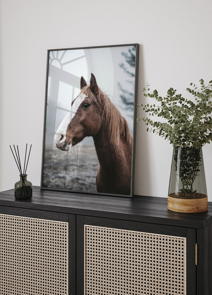 Braunes Pferd Poster - Posterbox.dk