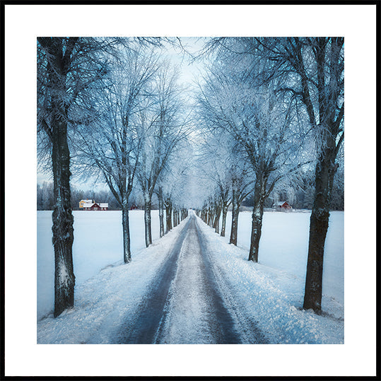 Swedish winter Plakater - Posterbox