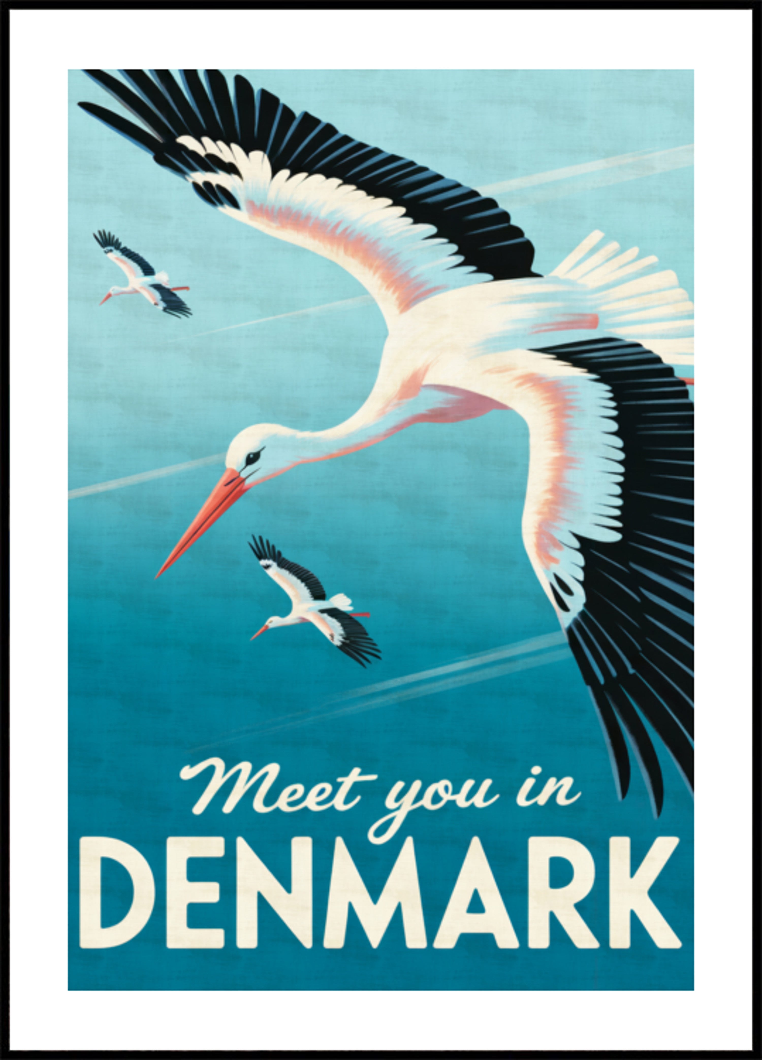 Fliegende Störche Dänemark