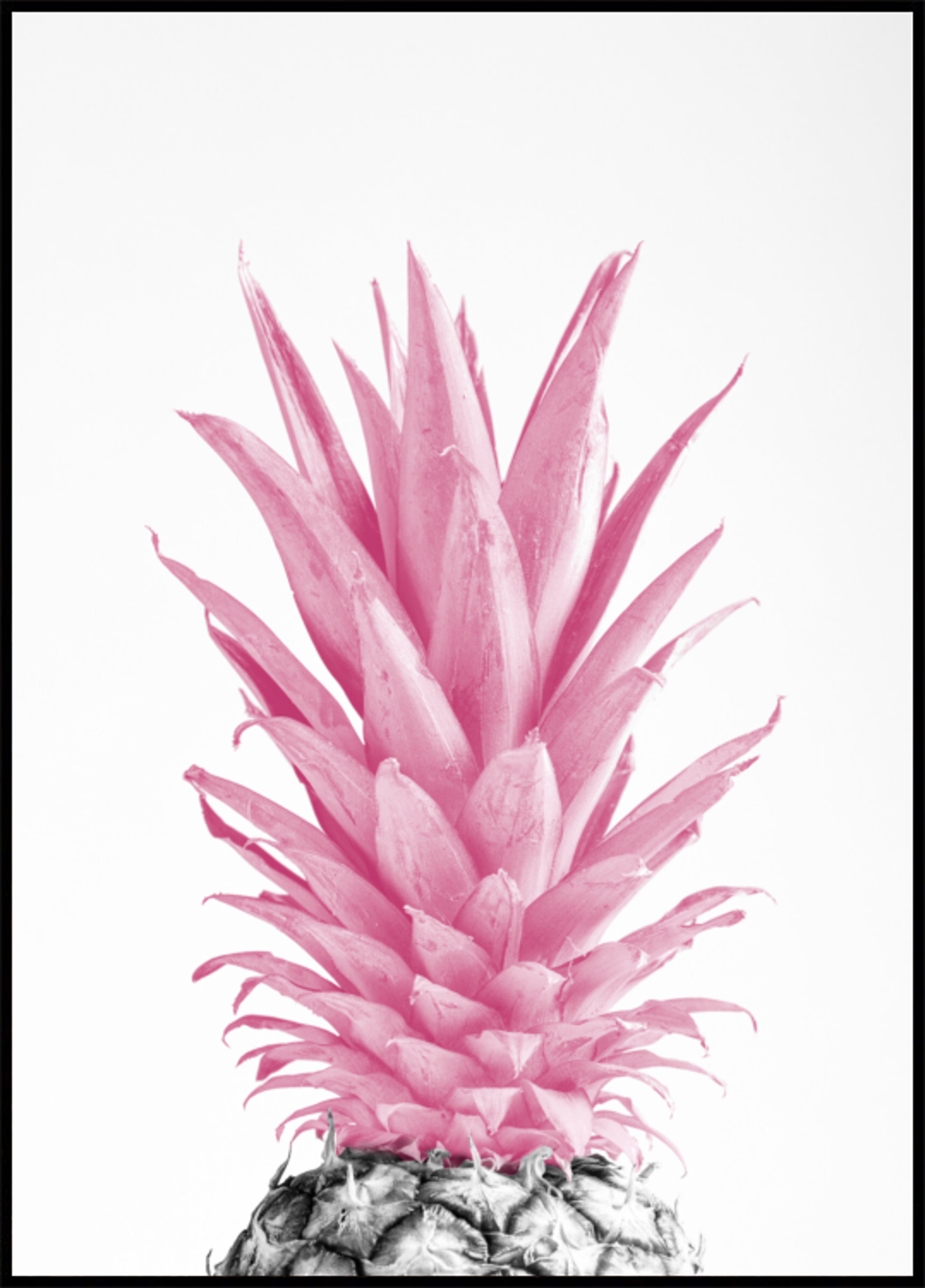 Tropische rosa Ananas