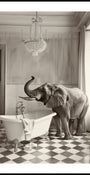 Elegante Badewanne des Elefanten
