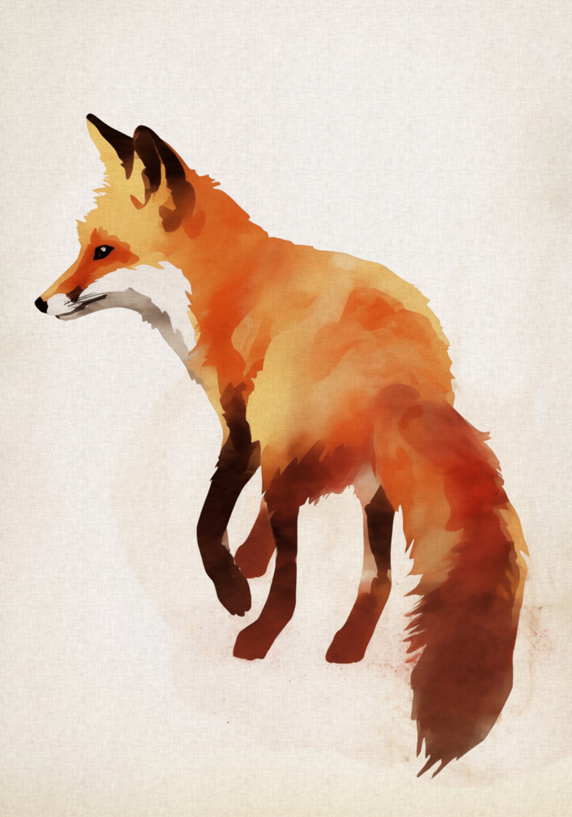 Rotfuchs-Illustration