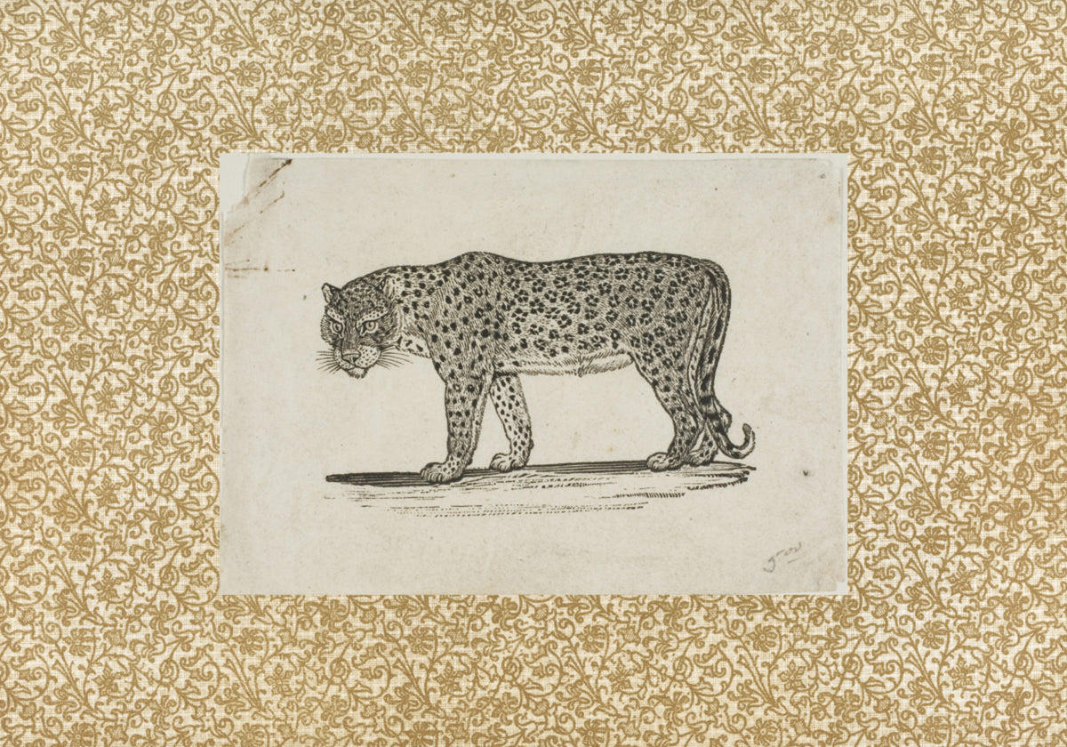 Vintage-Leopard-Skizze