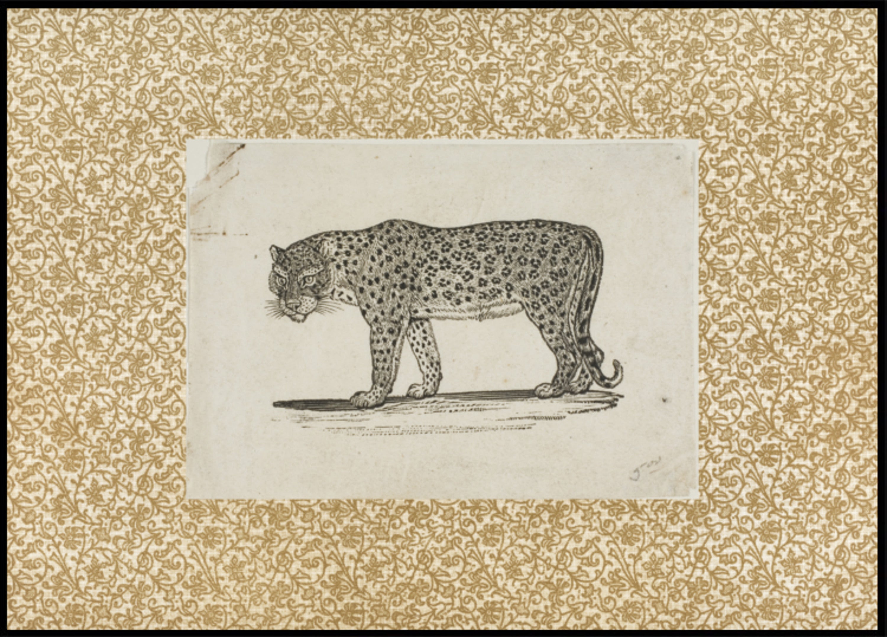 Vintage-Leopard-Skizze