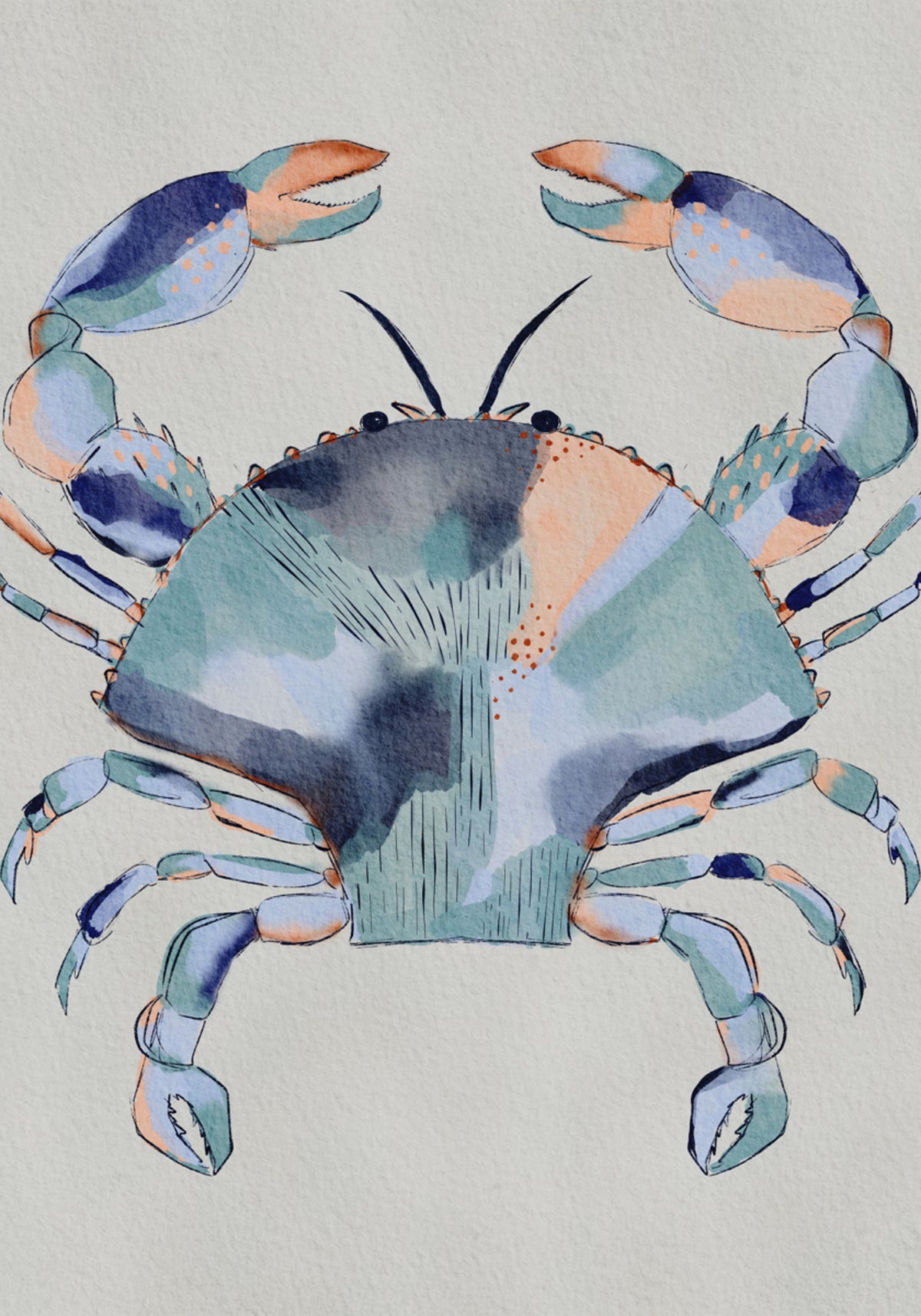 Küstenblaue Krabbenmalerei