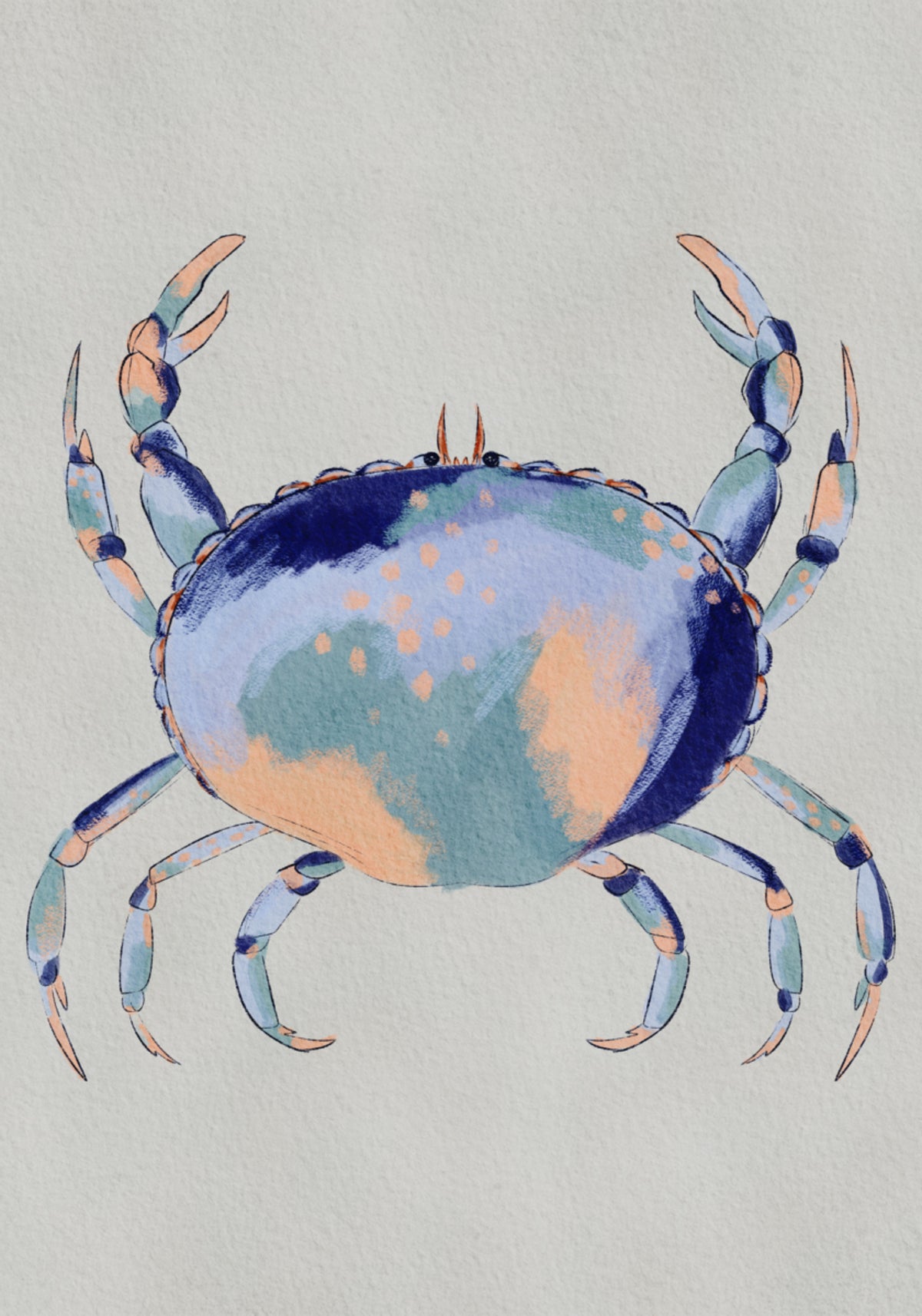 Ruhige blaue Krabbe