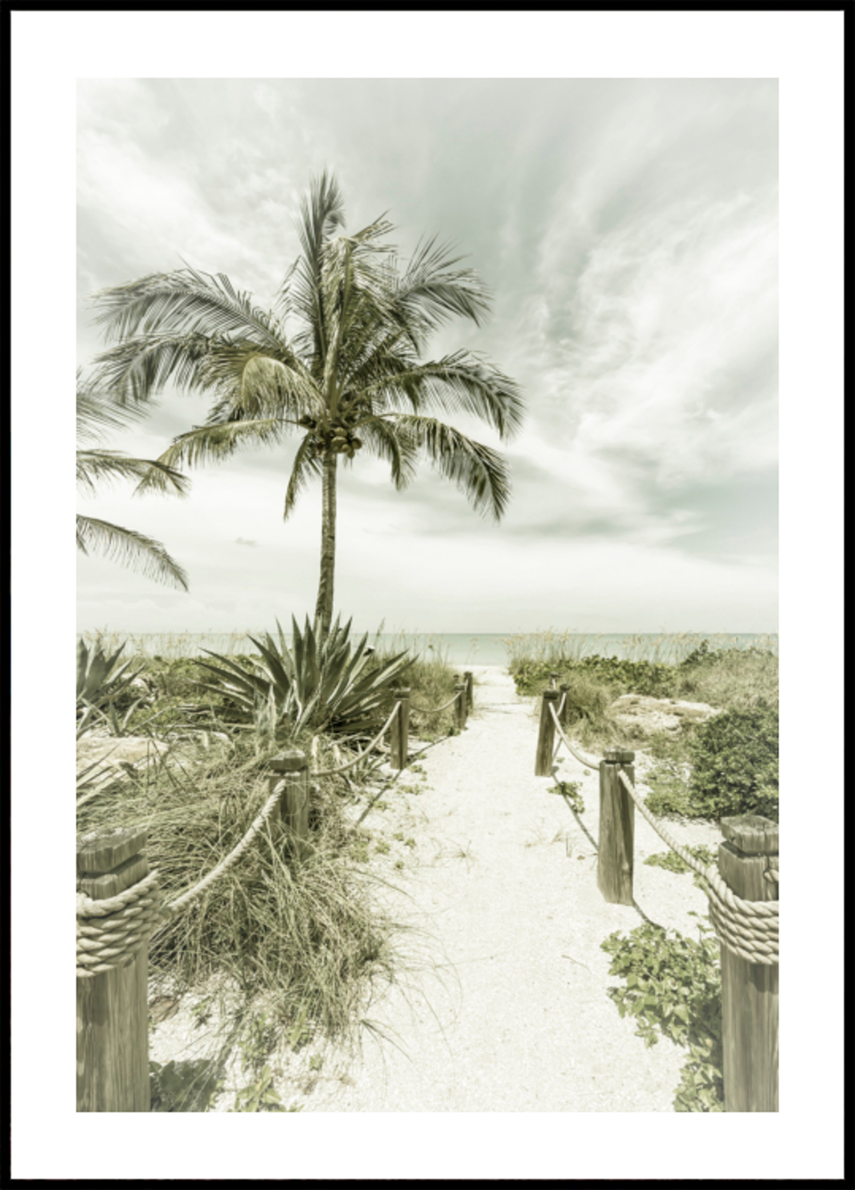 Tropischer Strandweg