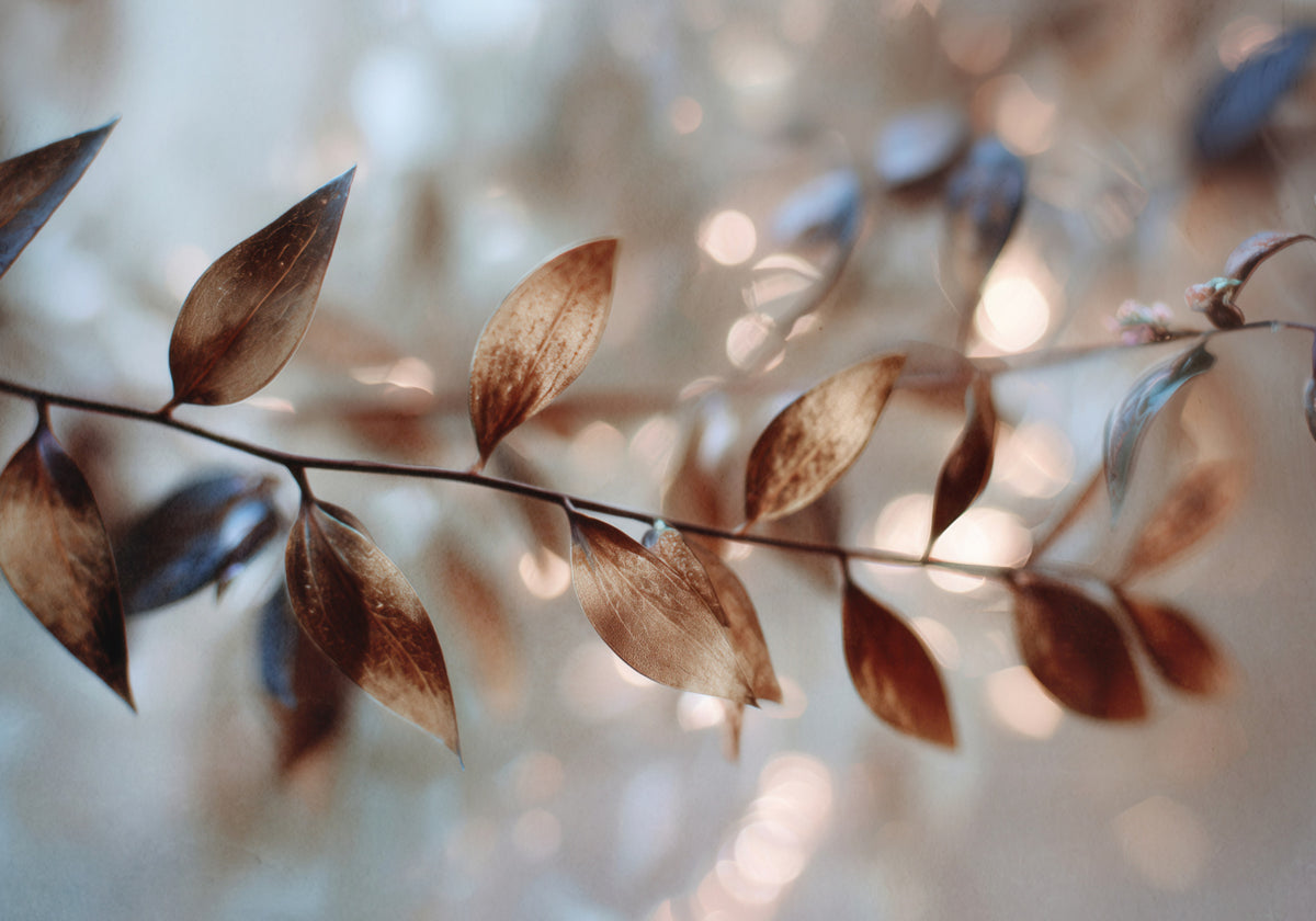 Zarte Bokeh-Blätter