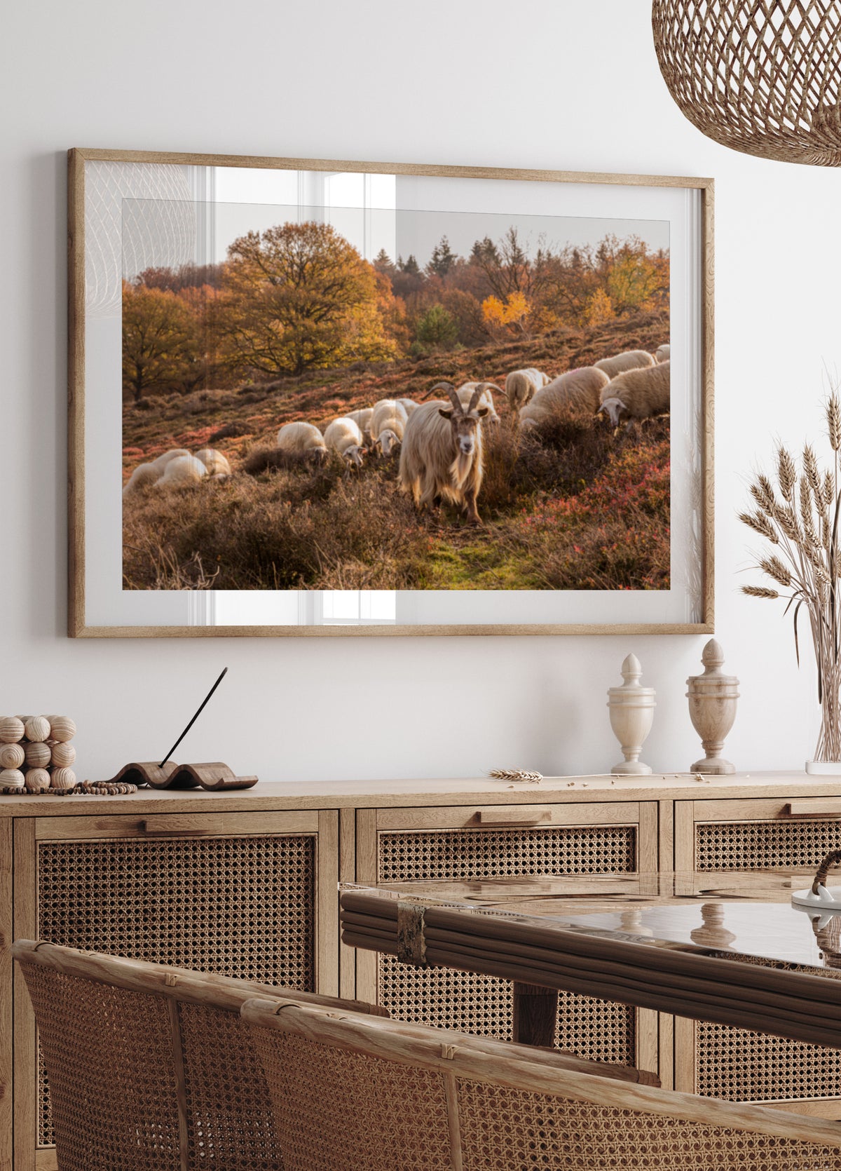 Herbstziege und Schaf