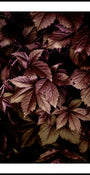 Herbstlaub 13