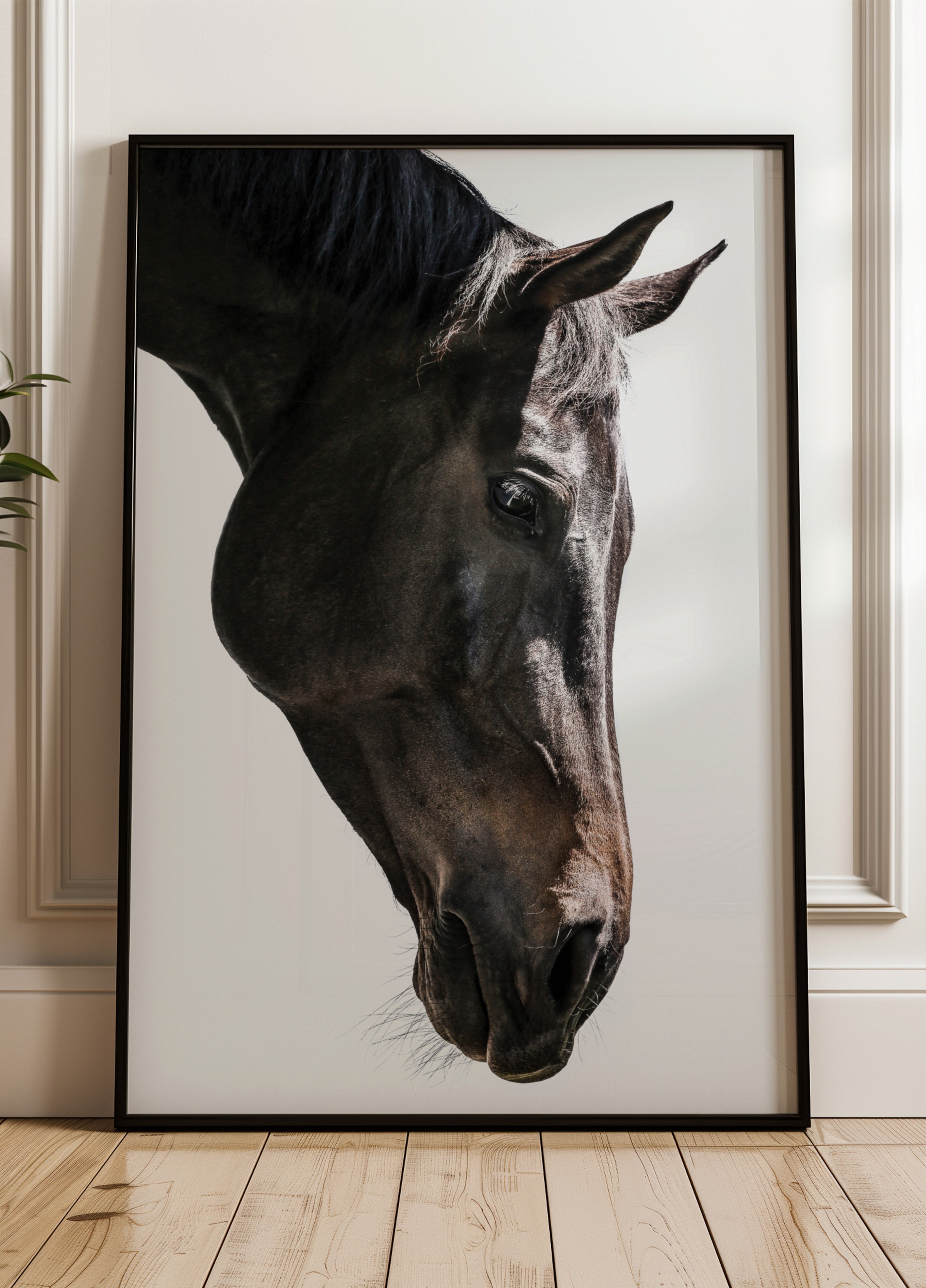 Sanfte Pferdegaze