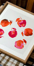 Apple  Chiffon Pink Orange (NEW) - Posterbox