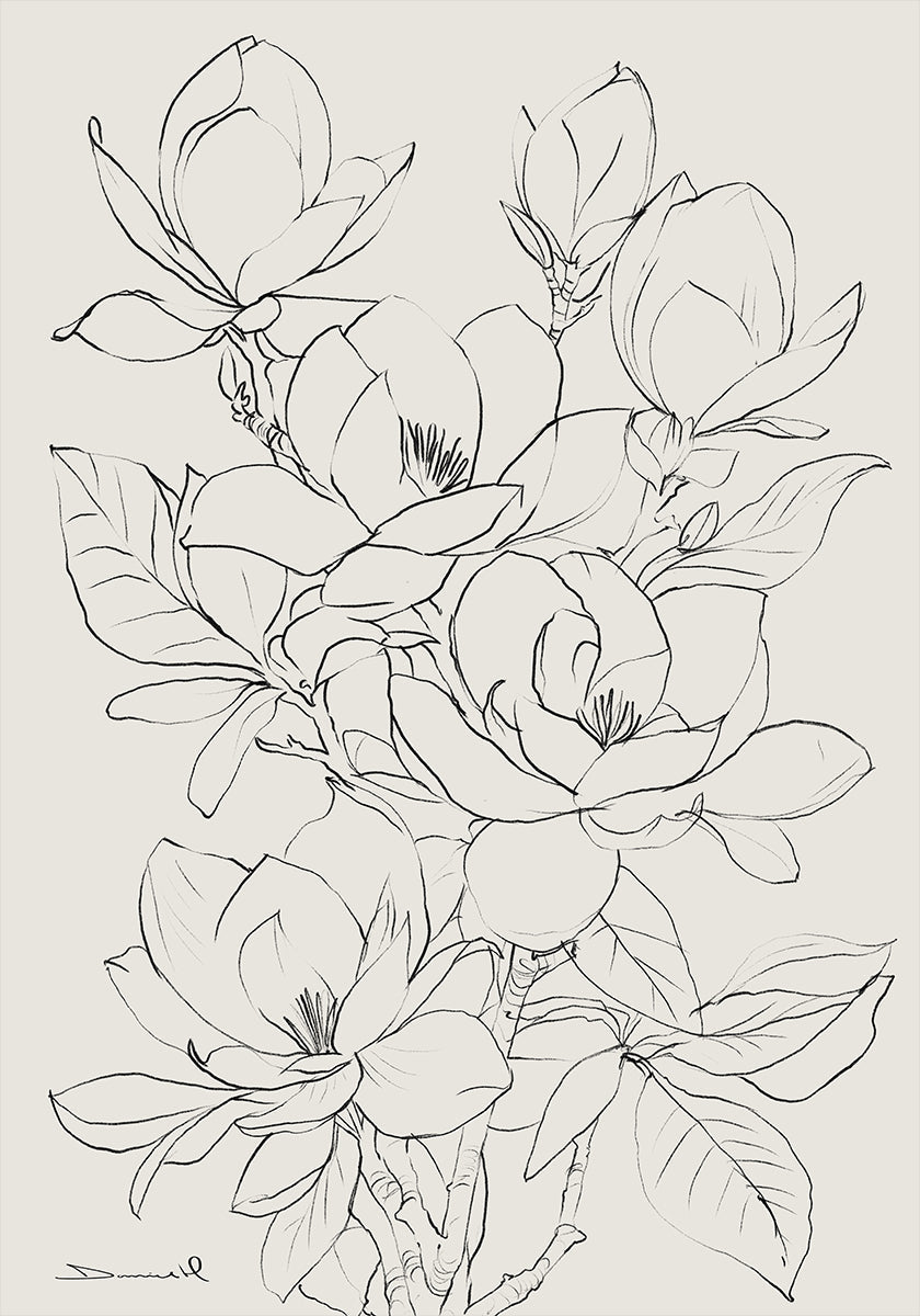 Magnolia Tree - Posterbox