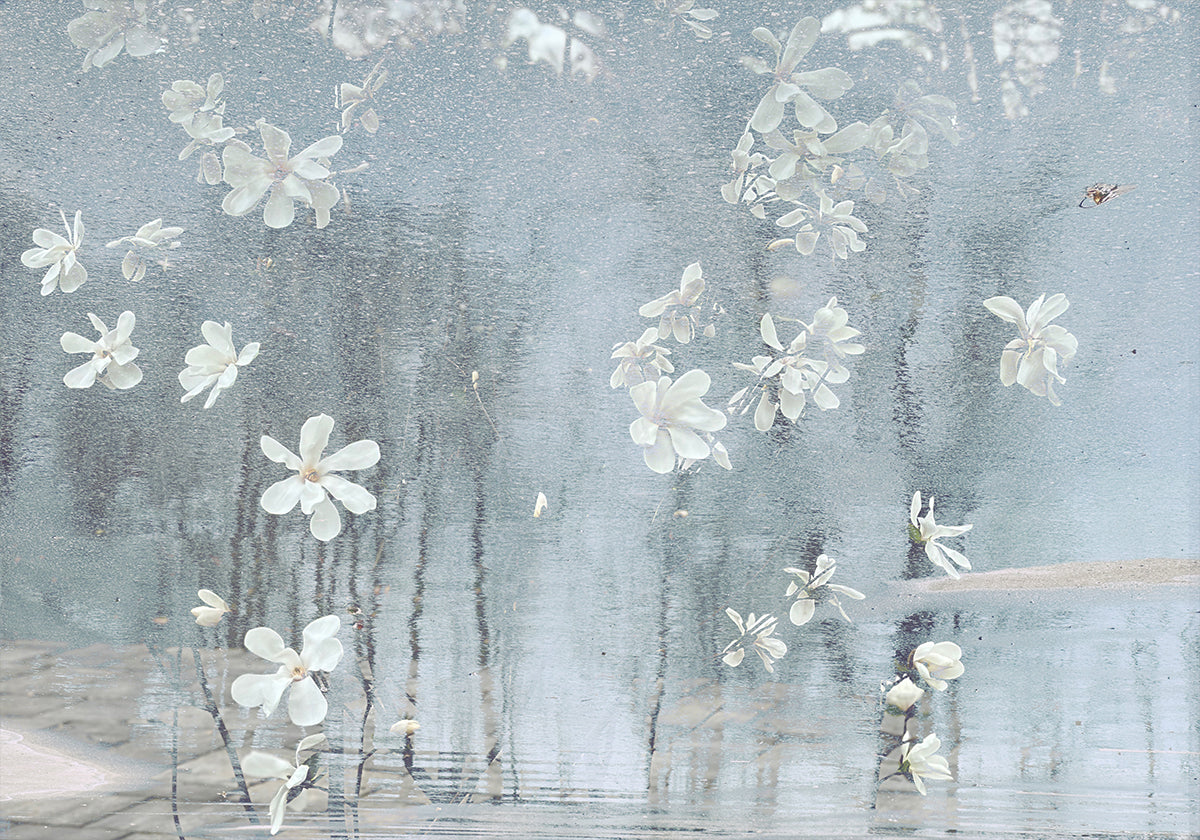 Change of season (NEW) - Posterbox